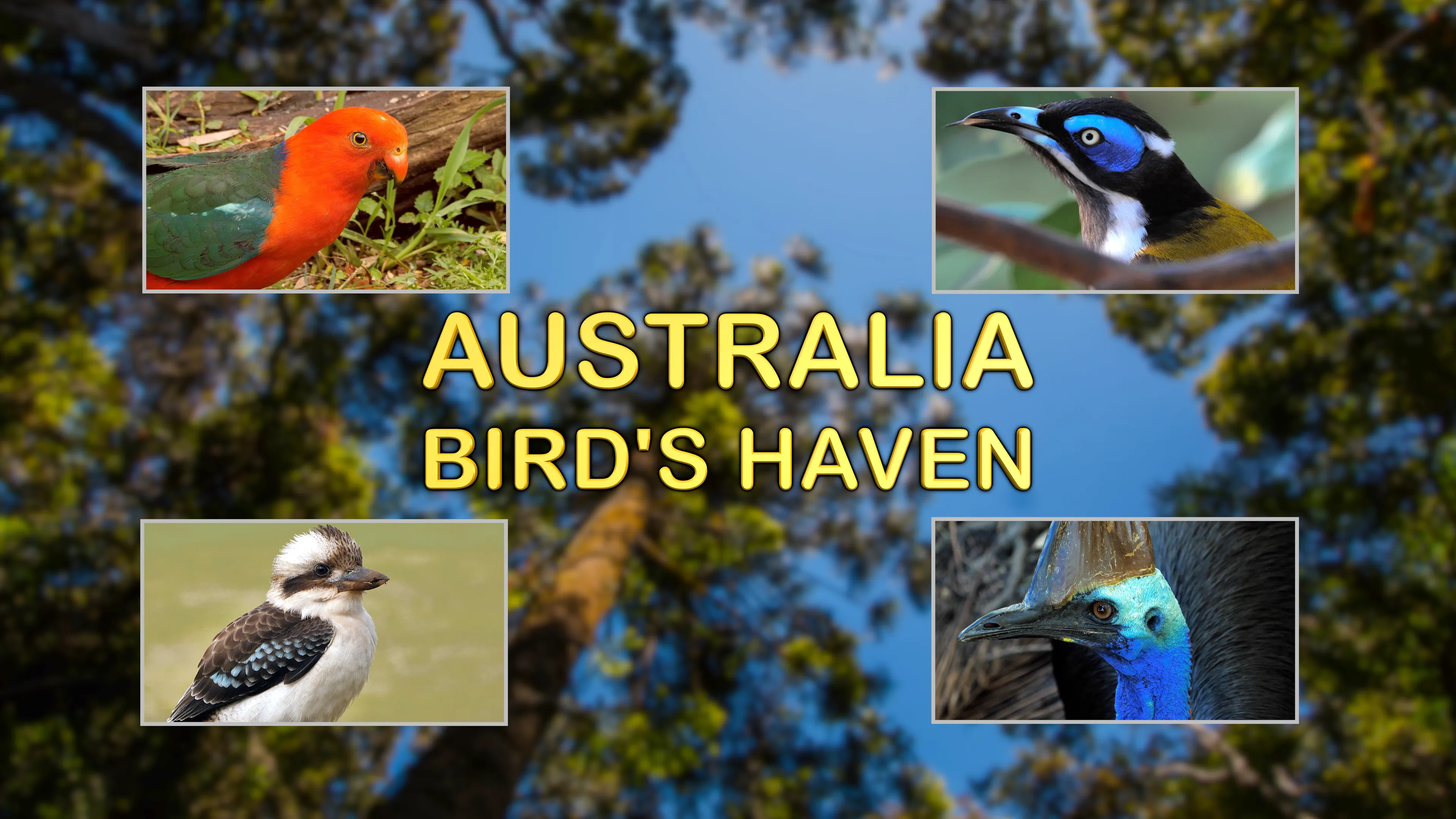 Australia, Bird's Haven poster